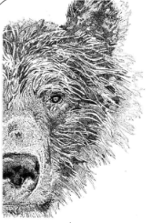 Art by Agostina Large Print 11x14