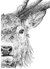 Art by Agostina Small Print 8x10